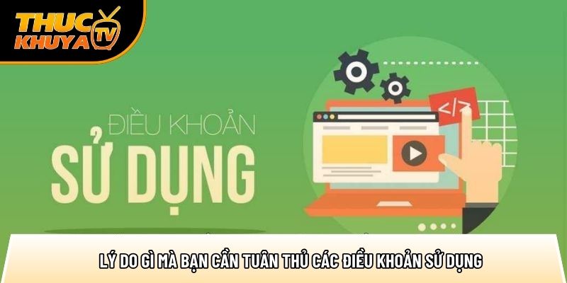 ly do gi ma ban can tuan thu cac dieu khoan su dung 1